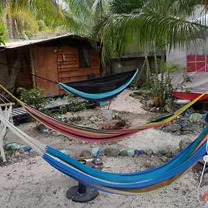 https://cabaa-sustentable-cozumel.allrivieramayahotels.com
