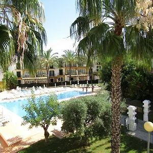book here