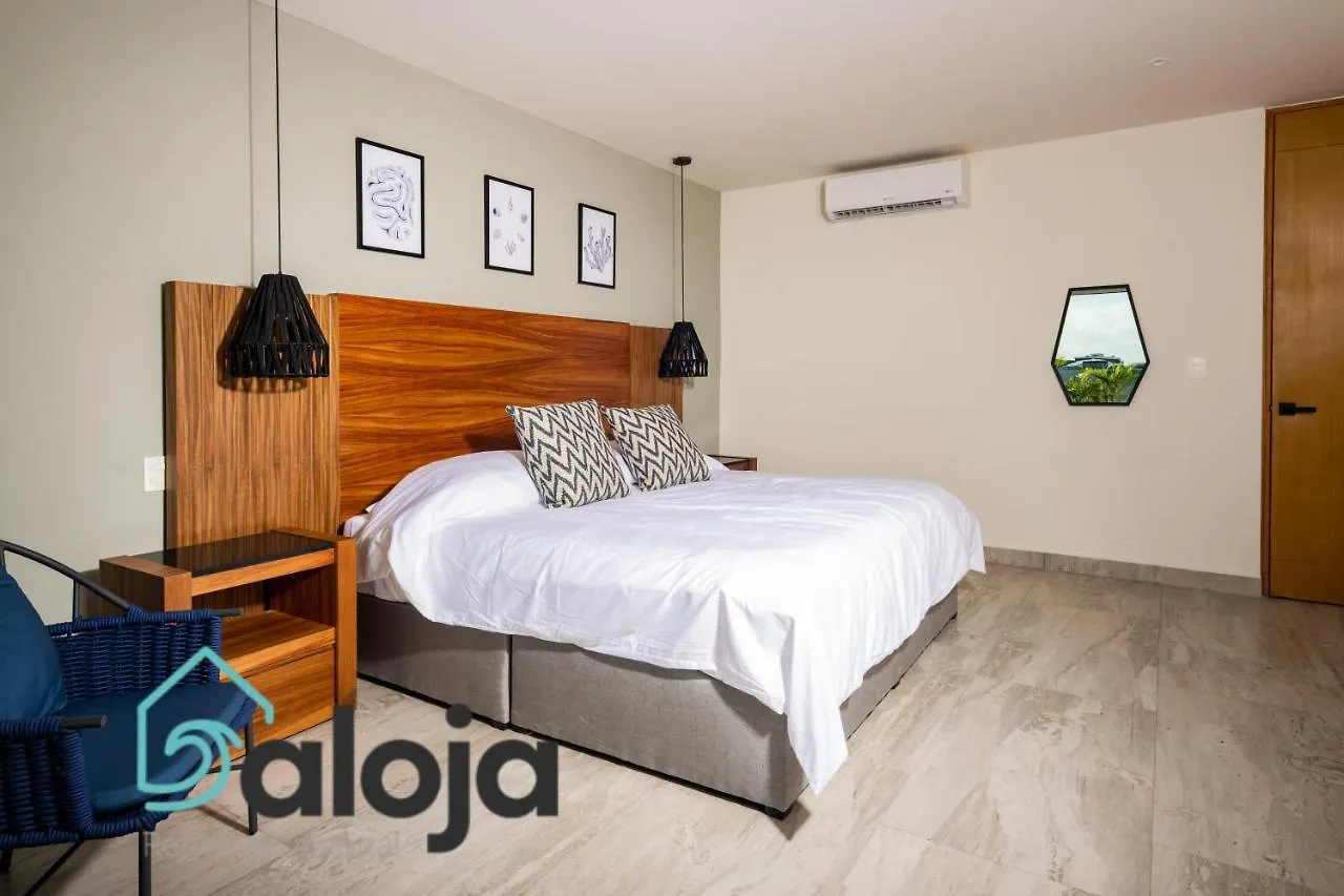 Torre Sofia Magnific Apartments & Estudios With Great Amenities Cancún